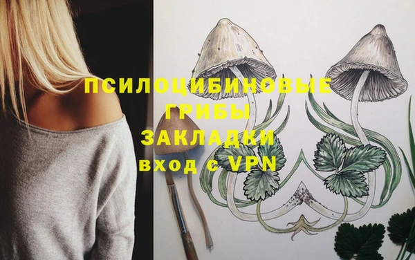 гашик Волоколамск