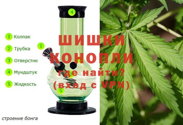 стафф Володарск