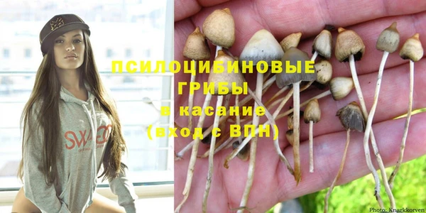 гашик Волоколамск