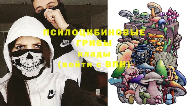 стафф Володарск